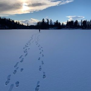 Meet your Posher, Anne